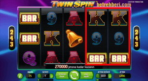 Twin Spin