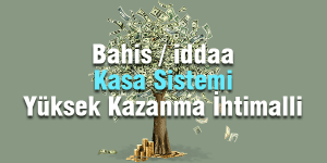 Bahis Kasa Sistemi