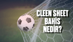 cleen sheet