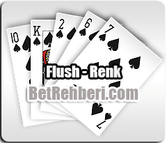 Flush - Renk