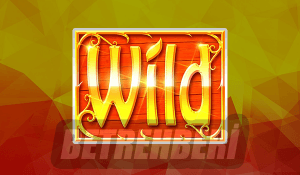 Wild Sembolü