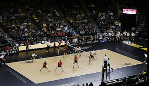 Voleybol Canlı Bahis